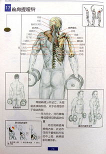 求大神帮我指定一套健身计划 本人微胖以前练过未坚持 