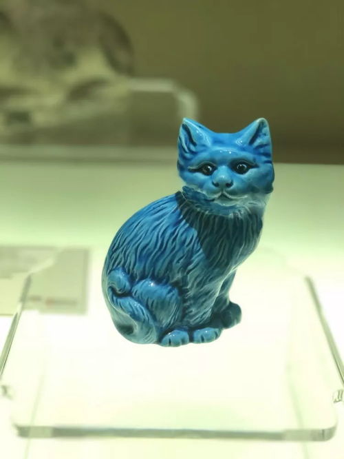 萌化了 史上最有文化的猫带你逛博物馆