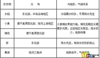 教案详案范文小班健康_小班贪吃蛇游戏教案？