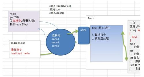 使用golang 的公司有哪些