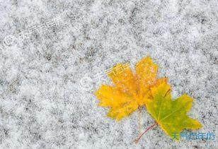 大雪节气的由来 大雪节气的来历和民俗