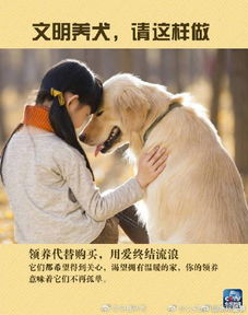 广东将立法规范养犬 市区范围内遛狗必须带证 并给狗牵绳戴嘴套