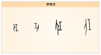 名言的感受  忧国忧民以天下为己任的名言和感受？