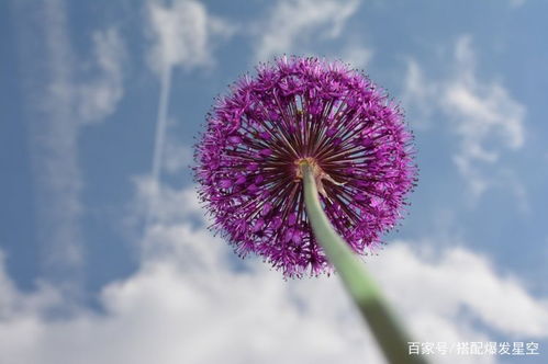 4月份4星座好运围绕,霉运不敢来,生意不再落败,生活幸福美满