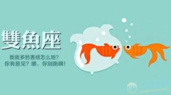 十二星座6.5日运势总结,来看看出门需要注意啥 