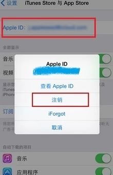 苹果手机怎么删除原来的apple id 