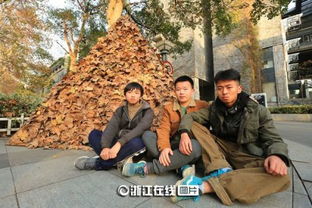 杭州大学生制作落叶 金字塔 成街头一景