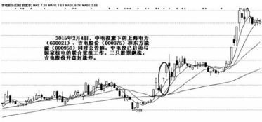 股市庄家喜欢炒作哪些股票