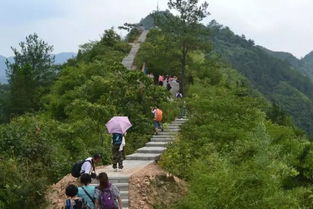 好消息,湖北十堰郧阳鲍峡镇莲花寨升级为国家级3A景区 