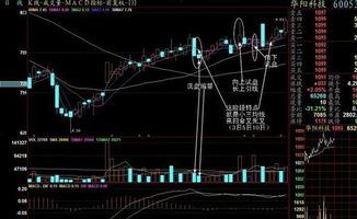 请高手编飞狐炒股软件公式：60分钟和日线周期中 5和10线同时死叉