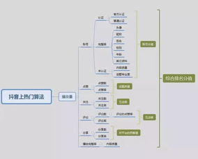 常州新媒体 深度剖析抖音背后的推广运营策略