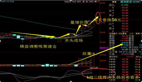 如何利用选股器 选出量能放大的股票？在线等