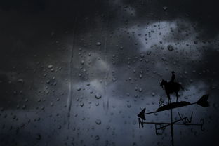 那段让人湿透的雨夜邂逅，让人湿掉的文