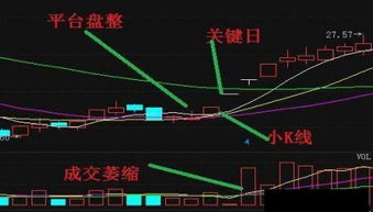 确定w底之前 庄家天天尾盘抛大单为啥