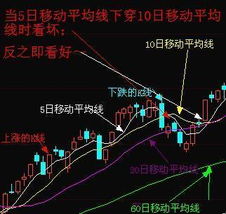 哪里有股票入门知识啊