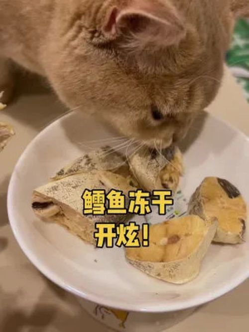 猫咪狗狗都爱吃的鳕鱼冻干,每天炫一块,美毛又磨牙 宠物零食 猫咪冻干 萌宠好物 