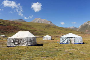 导游告诫 到西藏旅游,看见这种白帐篷,千万不要随便进