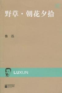 朝花夕拾为什么取名朝花夕拾