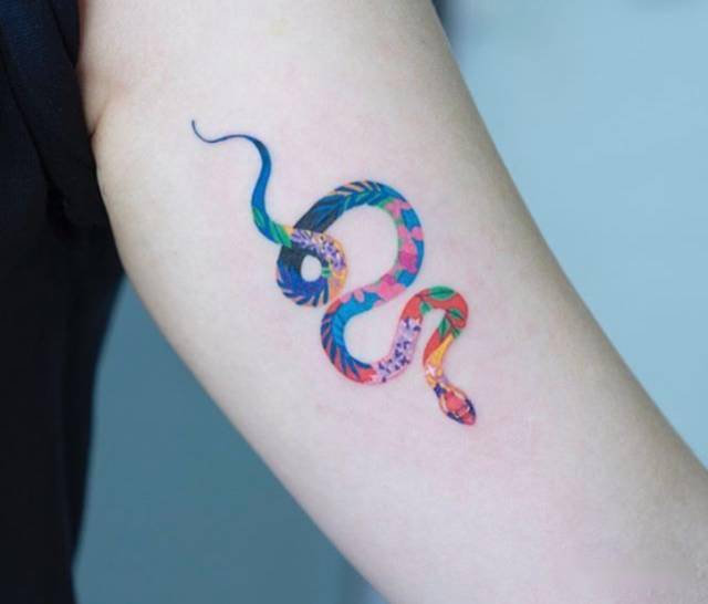 Tattoo 纹身素材 蛇 