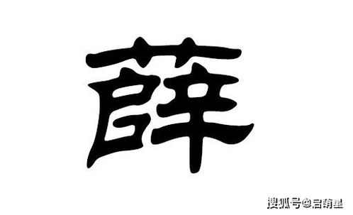 给姓薛的男孩起名字