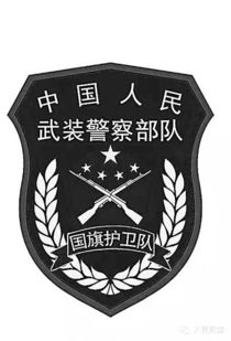 武警部队编制体制调整改革 29日更换新式标志服饰 