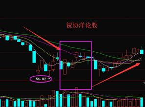 同花顺分析走势里新发行的股票前面有个蓝色区域代表什么？