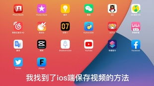 iPhone用户如何快速保存B站视频的封面