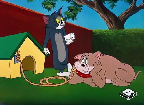 猫和老鼠里猫叫汤姆老鼠叫杰瑞,可怜的老鼠宝宝的名字很少人知道