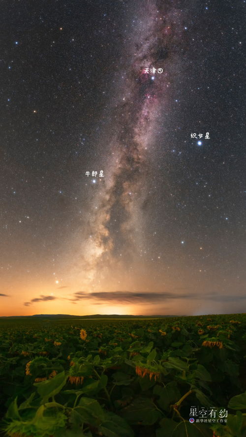 星空有约 七夕 夜赏牛郎织女星,感受千年浪漫情