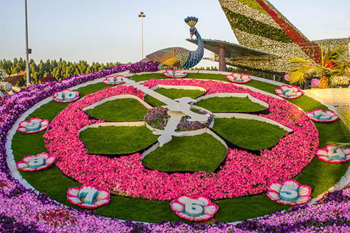花卉创意景观 世界八大著名的 花钟 景观