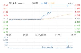 国投中鲁最近走势如何