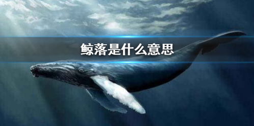 鲸落是什么意思,抖音鲸落南北鲨掉东西是什么意思 鲸落南北鲨掉东西什么梗