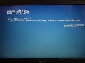 win10一直显示未正确启动