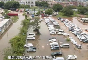 宁波鄞州露天免费停车的地方推荐(象山城区免费停车场有哪些)