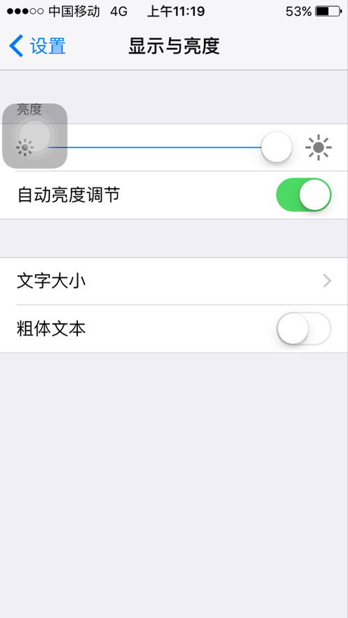 为什么我的iPhone不能调图表大小 