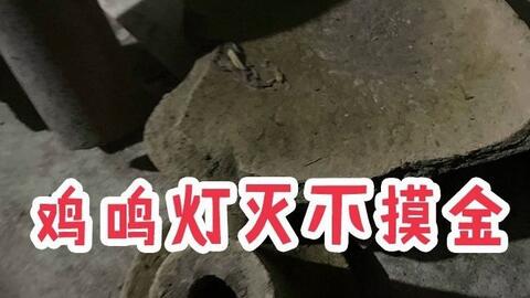 宝友被夺舍了