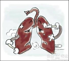 肺癌阴性什么意思
