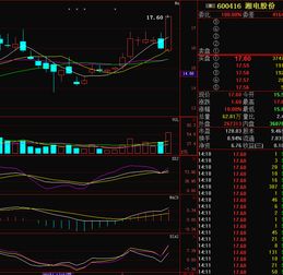 买的 湘 电 股份600416 31元买入，后市如何操作？