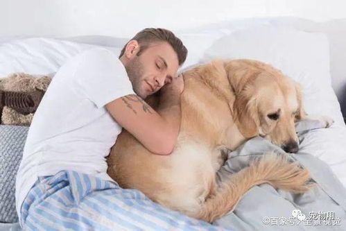 狗狗睡姿知多少 能中三个以上,说明你们的关系很融洽