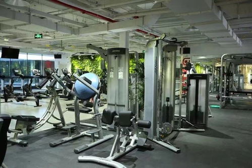 京城最洋气的健身房 必爱体 ,和花臂健身老炮一起撸铁是什么体验