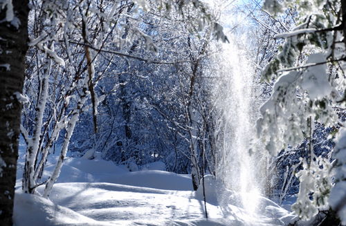 惊雪 