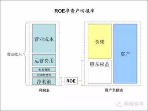 资产回报率（ROA）和权益回报率（ROE），请问哪个能反映股东的价值回报？