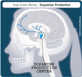 脑外科专家顾建文 多巴胺D3受体与精神疾病的关系