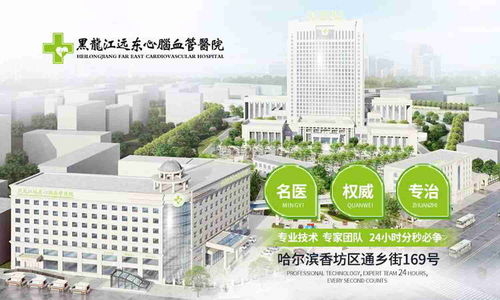 黑龙江专科学校排名公办,哈尔滨专科院校排名(图1)