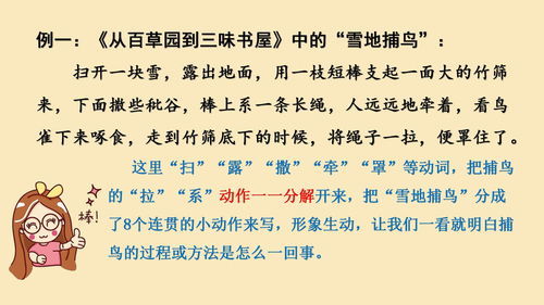 转败为胜的解释词语_类似转败为胜的词语有哪些？