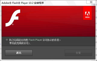 flashplayer10(Adobe Flash Player 11.1)