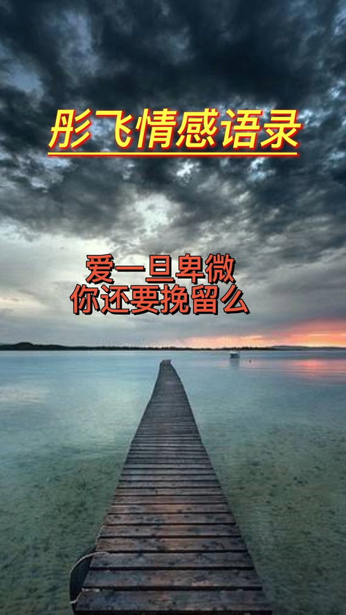 情感挽回5步法修复体系