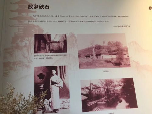 从鹃湖到西湖 爱你如诗,徐志摩文化寻旅完美落幕 