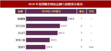 2018年我国婚恋网站品牌力指数排名情况