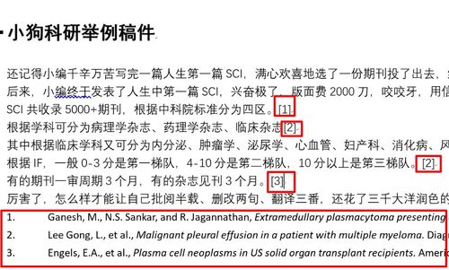 论文查重的正确引文格式